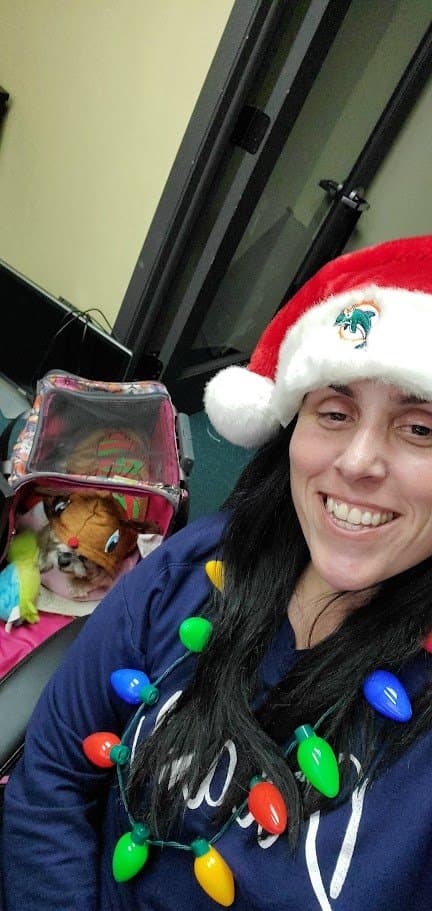 Momma at her desk in a Santa hat and light-bulb necklace with Paris in her carrier in a reindeer outfit