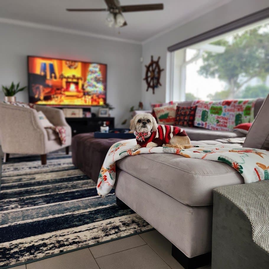Paris in a red striped Christmas sweater resting on the ottoman with a cozy fireplace scene on the TV behind her