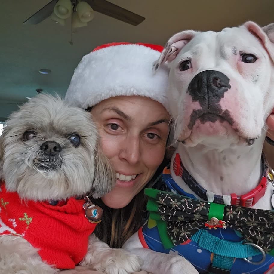 Momma in a Santa hat with Paris in a red sweater and Misty, all together at Christmas.