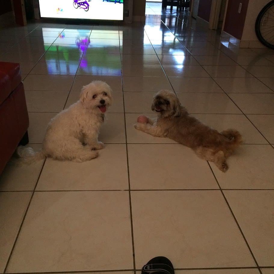 Paris and her big sister Angel side by side, both happy