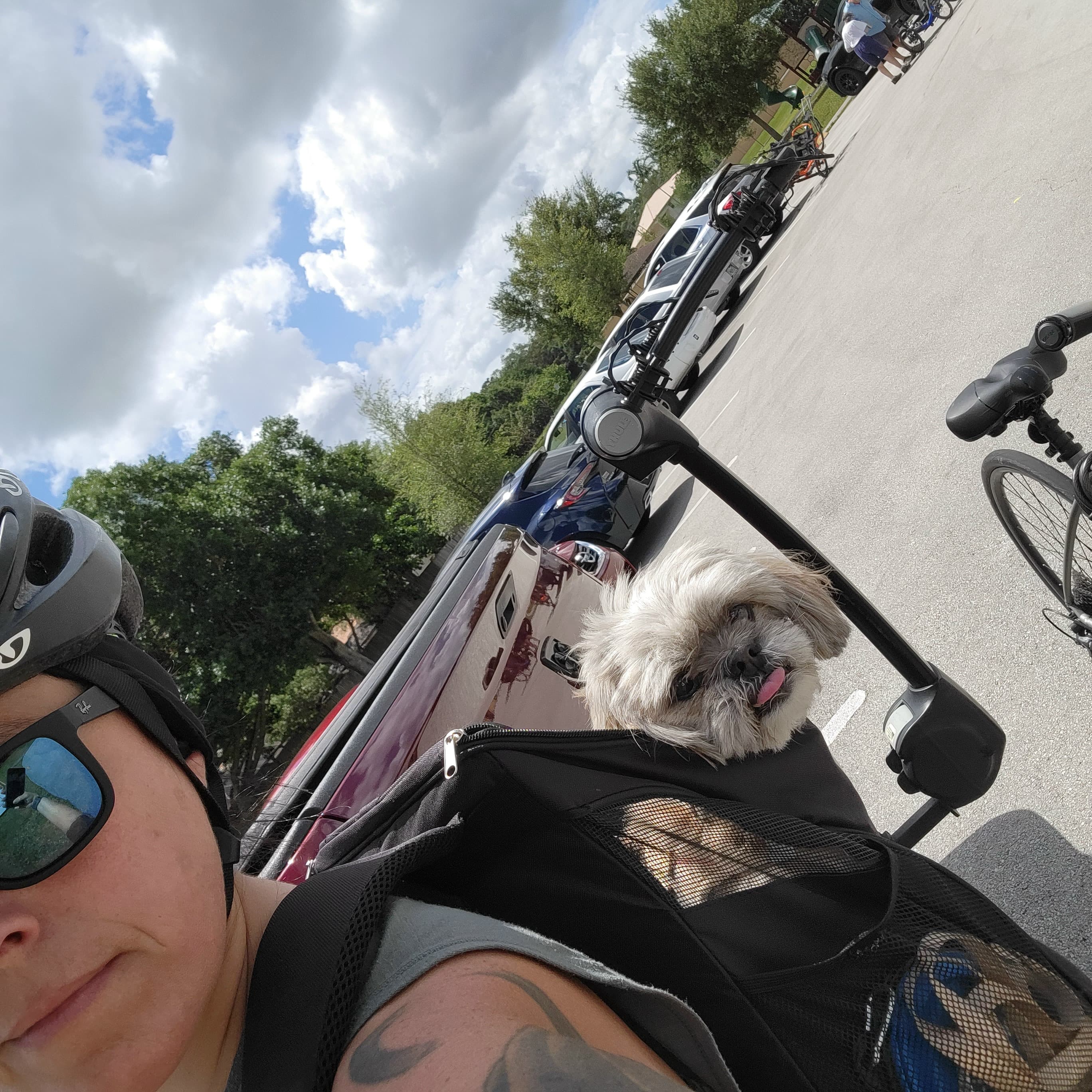 Paris riding in her carrier on my back during a bike ride, tongue out, with my helmet and the bikes and sky behind us