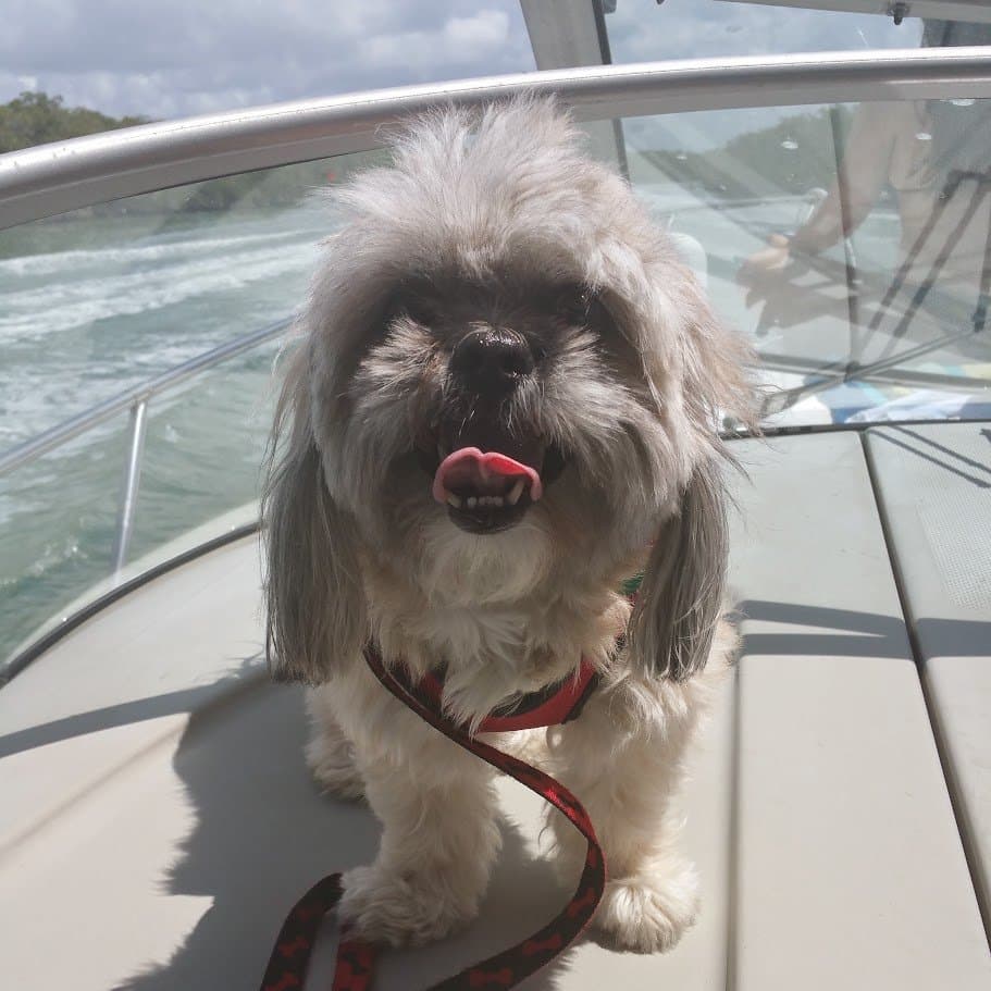 Paris standing at the front of the boat with her tongue out, water and sky behind her