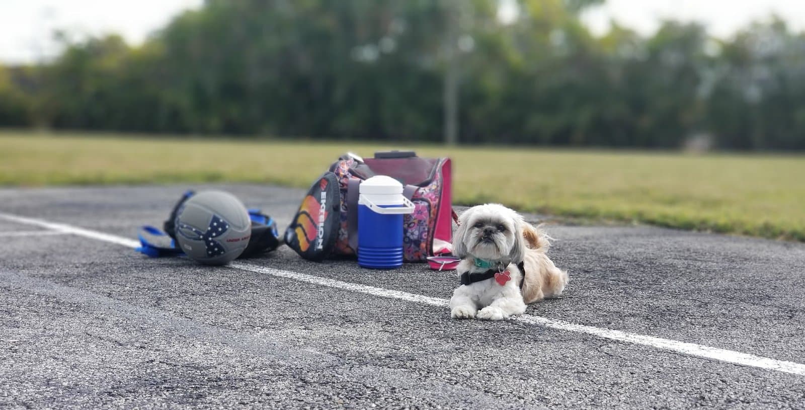 Paris lying on the court beside my gear bag and water jug, watching me play