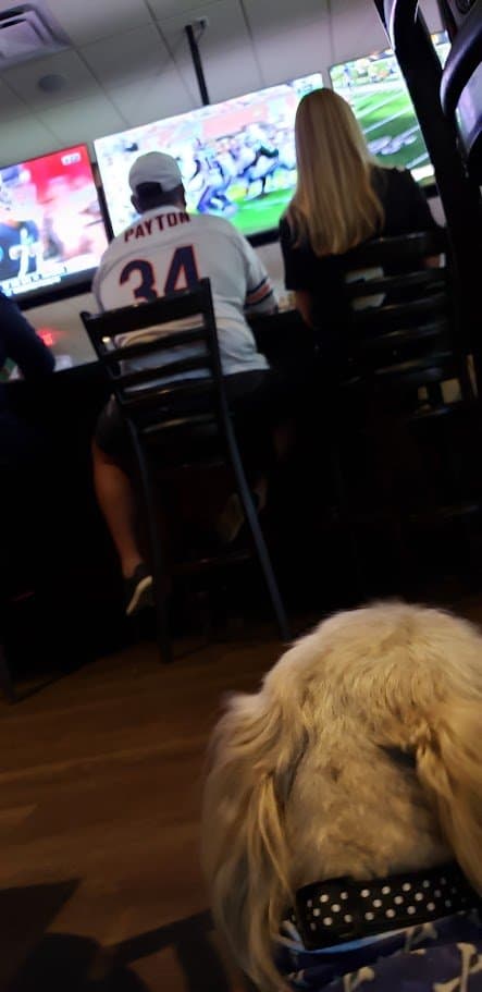 The football game on the TVs at Duffy's with Paris's carrier in the foreground