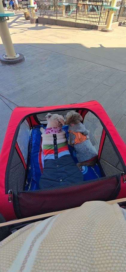Paris and her sister Misty bundled up riding together in the red stroller
