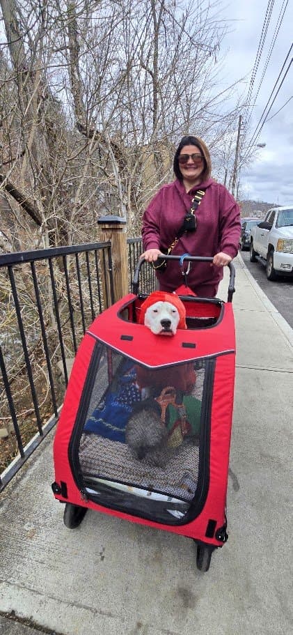 The Other Momma pushing the red stroller with the dogs down a Gatlinburg sidewalk