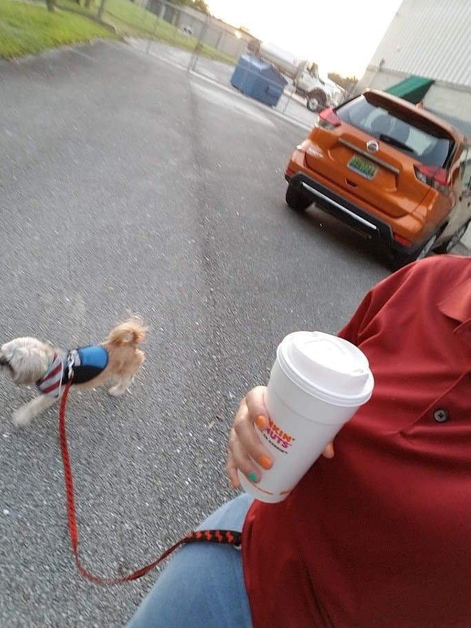 Paris trotting across the parking lot on the morning coffee run